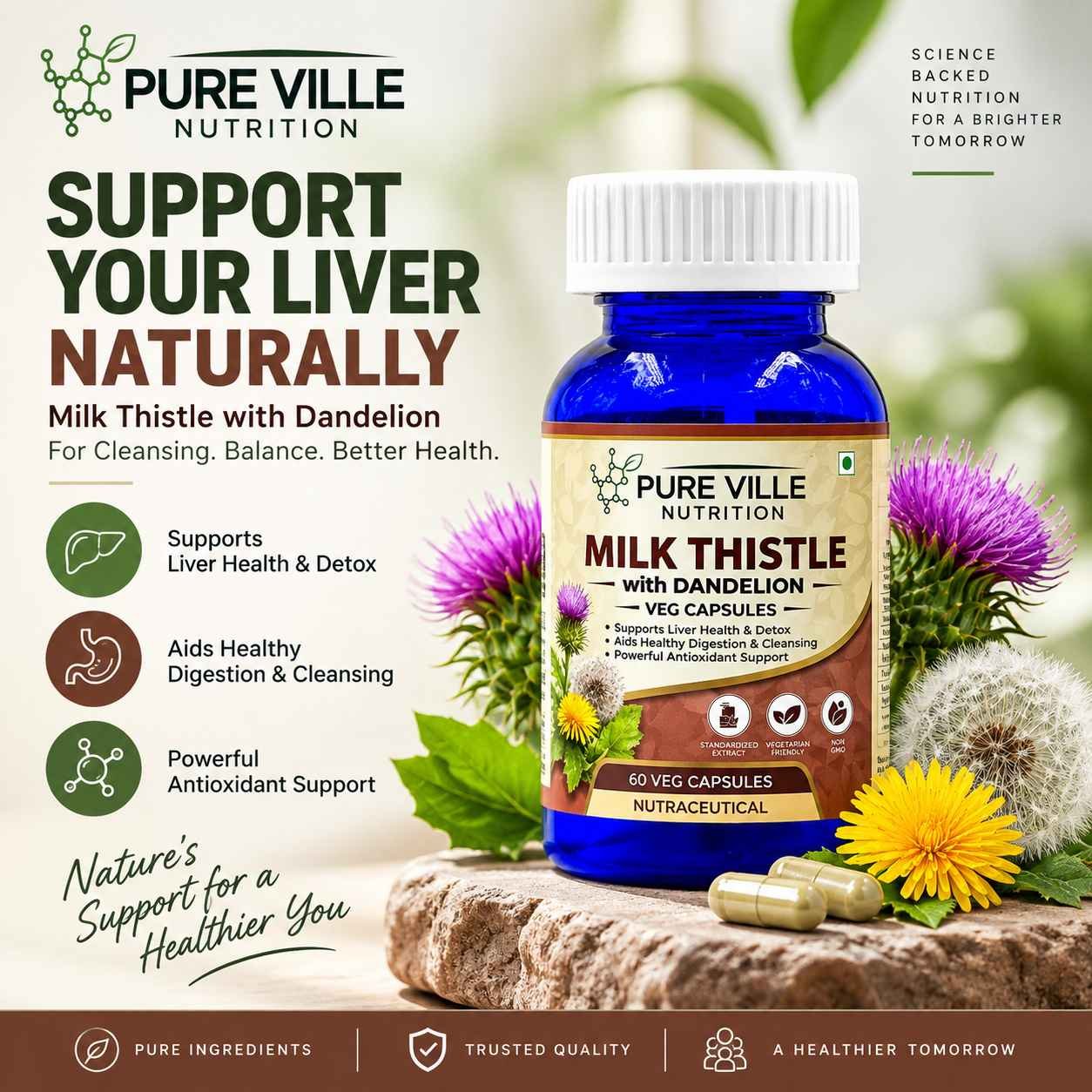 pure-ville-nutrition-milk-thistle-with-dandelion-veg-capsules-60-veg-caps-pack-of-2-2