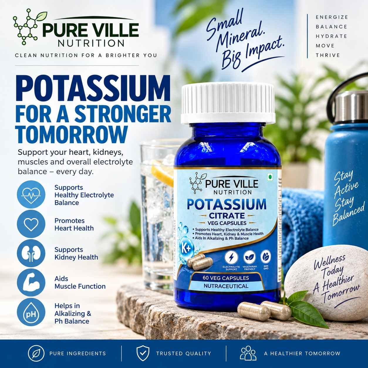 pure-ville-nutrition-potassium-citrate-veg-capsules-60-veg-caps-2